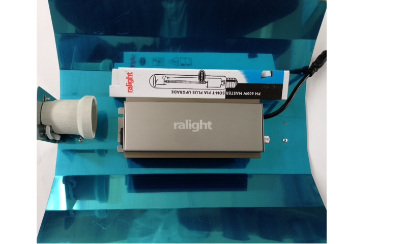 Zelfbouwset ralight electronische vsa met GE Lucalox HO bulb 600watt